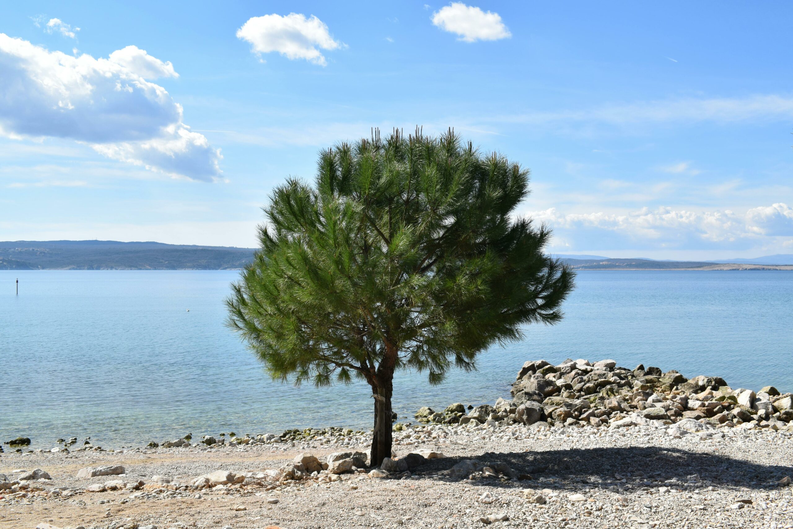 What to do in Crikvenica