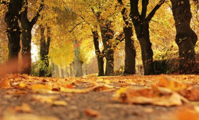 Discover Autumn on Kvarner