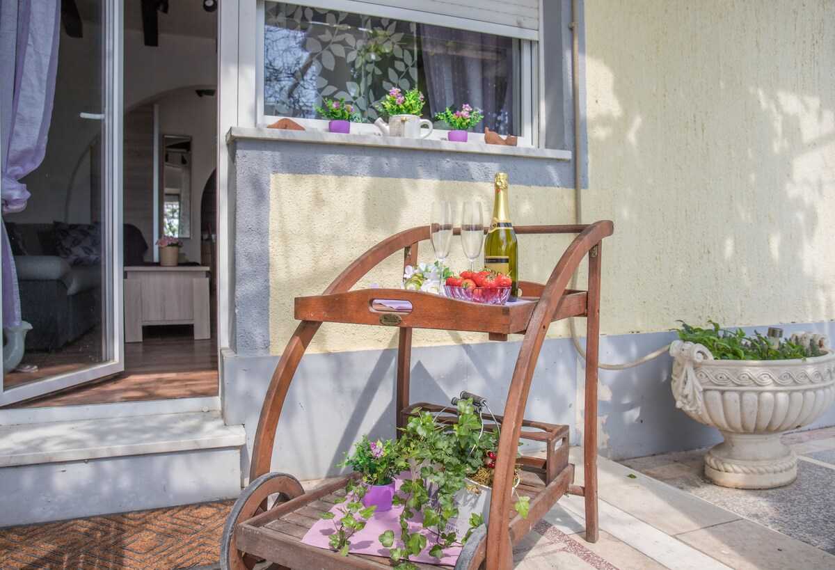 Apartman Buki-Geza · Apartment Buki-Geza