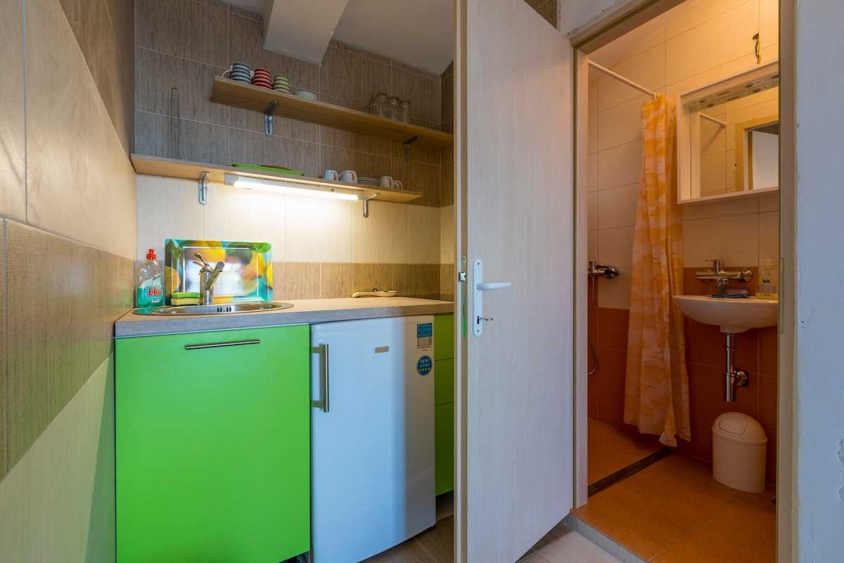 Apartman Milan 1