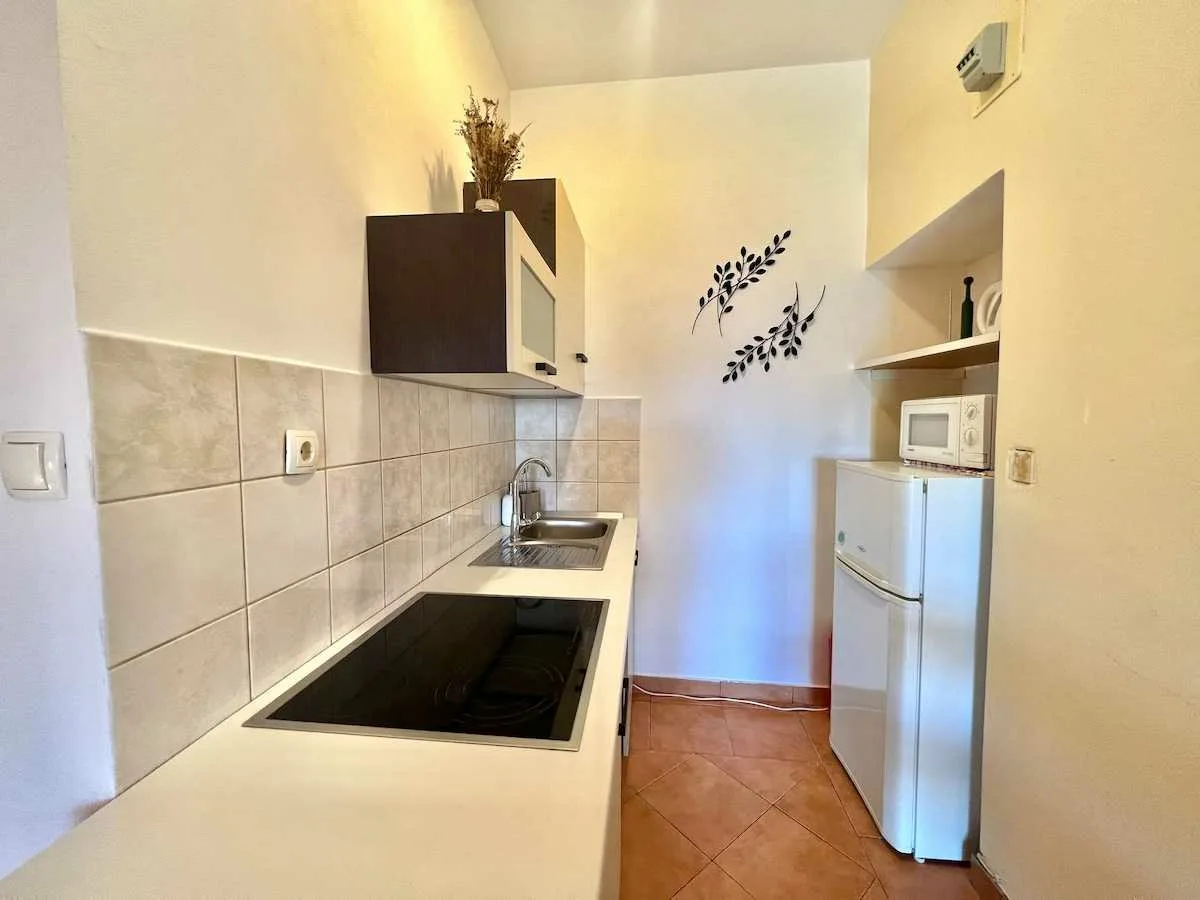 Apartman Zeleni Raj 1