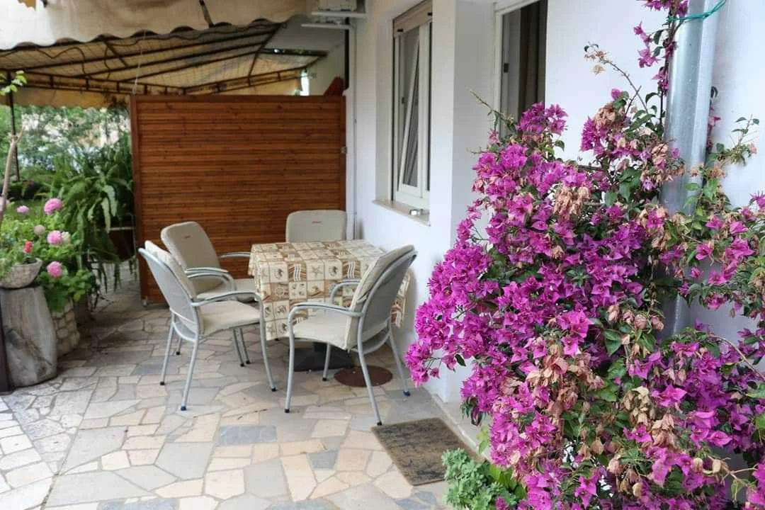 Apartman Zeleni Raj 3