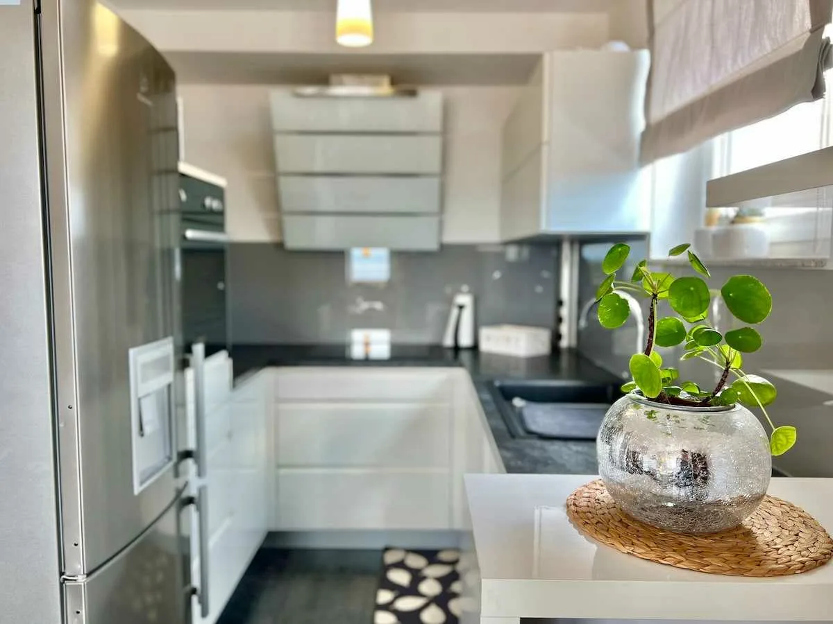 Apartman Jasmin 1