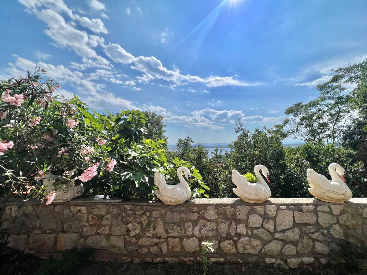 Apartman Ana 1