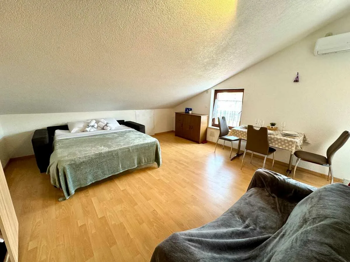 Studio apartment Vida