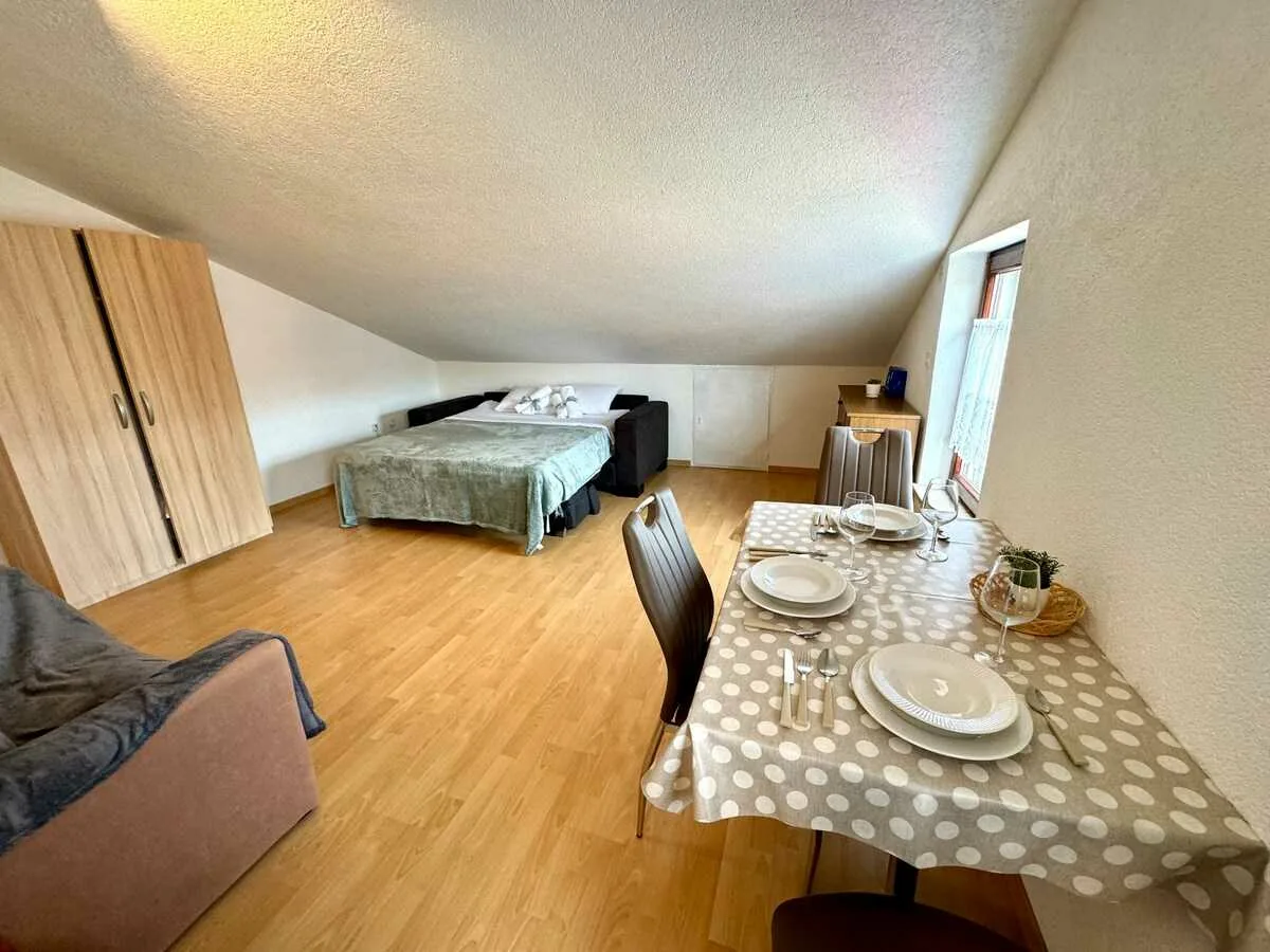 Studio apartment Vida
