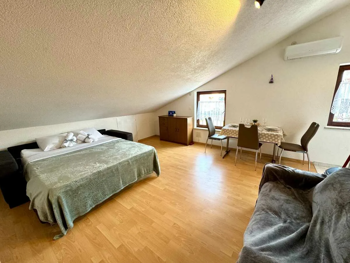 Studio apartment Vida
